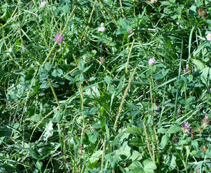 Similar image 21315025