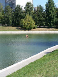 Similar image 21315029