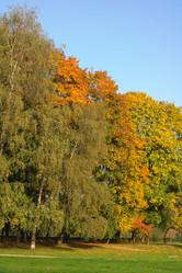 Similar image 21315030