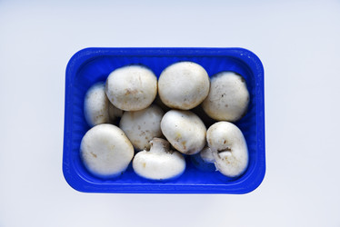 Similar image 21339395