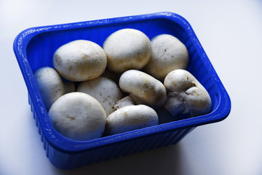 Similar image 21341286