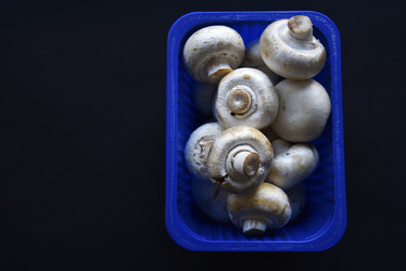 Similar image 21341287