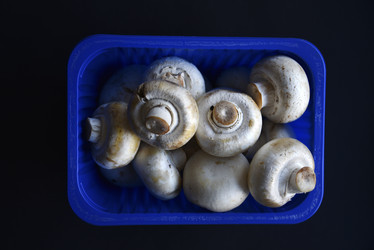 Similar image 21341288