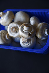 Similar image 21341307