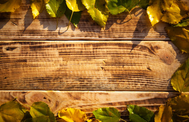 Similar image 21294840