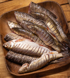 Similar image 21320582