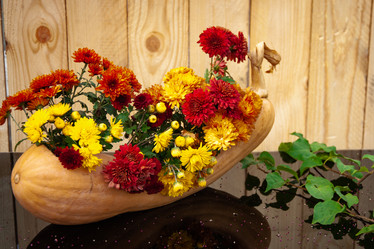 Similar image 21294844