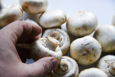 Similar image 21339396