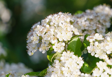 Similar image 21303440