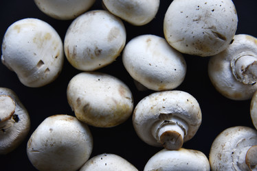 Similar image 21341310