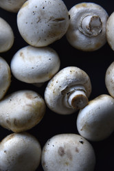 Similar image 21341311