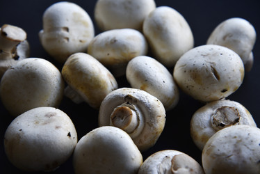 Similar image 21341329