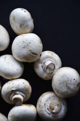 Similar image 21341330