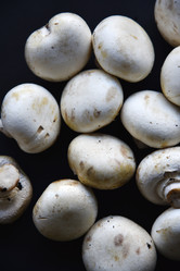 Similar image 21341331