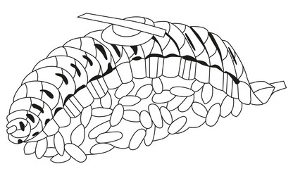 Similar image 21295939