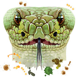 Similar image 21299125