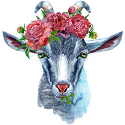 Similar image 21310626