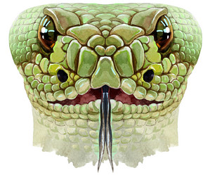 Similar image 21295782