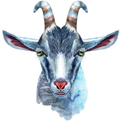 Similar image 21305016