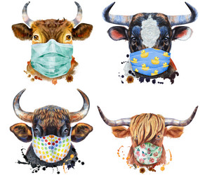 Similar image 21310642