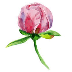 Similar image 21310674