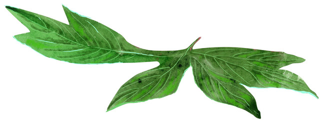 Similar image 21310676