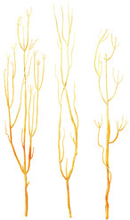 Similar image 21310690