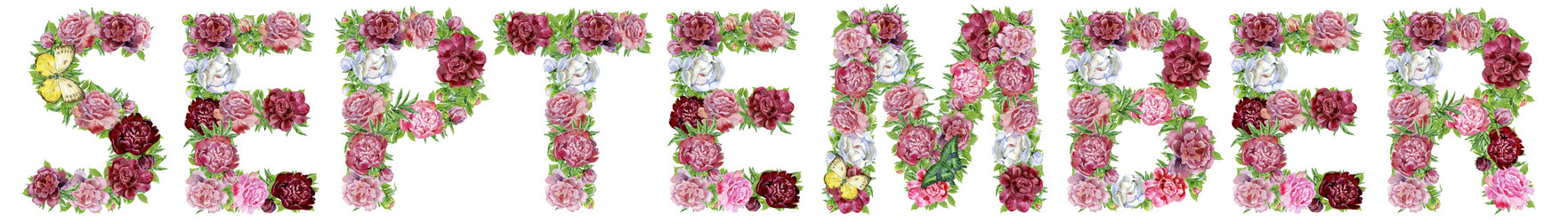 Similar image 21310241