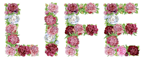 Similar image 21310485