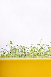 Similar image 21339793