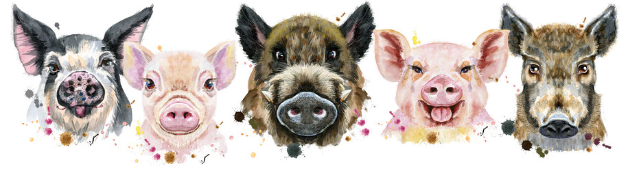 Similar image 21310545