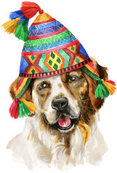 Similar image 21310549