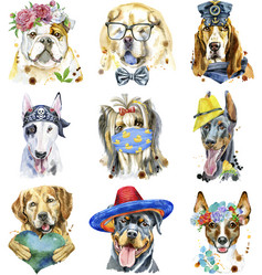 Similar image 21310306