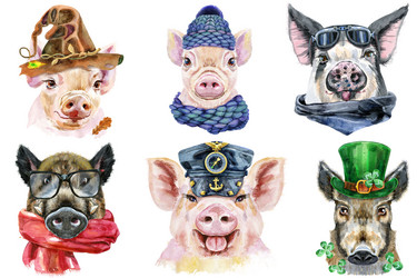 Similar image 21310383