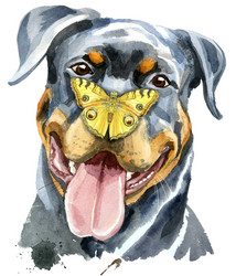 Similar image 21310158