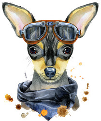 Similar image 21310404