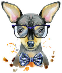 Similar image 21310095