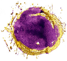 Similar image 21305039