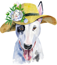 Similar image 21310109