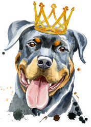 Similar image 21310111