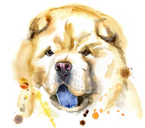 Similar image 21310112