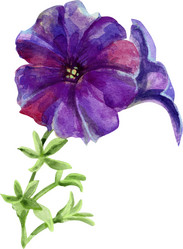 Similar image 21310006