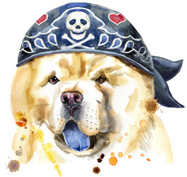 Similar image 21310008