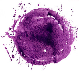 Similar image 21310142