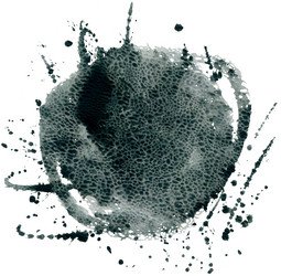 Similar image 21305066