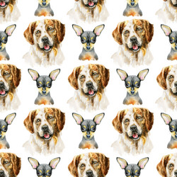 Similar image 21305088