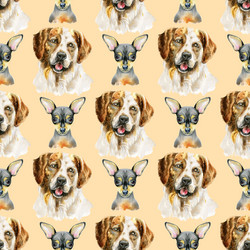 Similar image 21305089