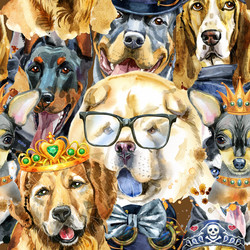 Similar image 21305101