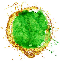 Similar image 21305124