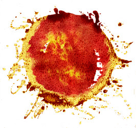 Similar image 21305129